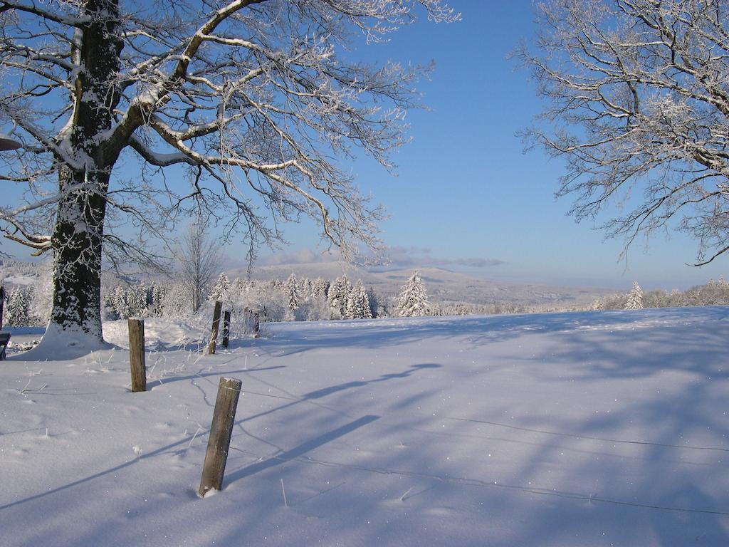 Luxury Apartment In Sumava Mountains Kristanov Eksteriør billede
